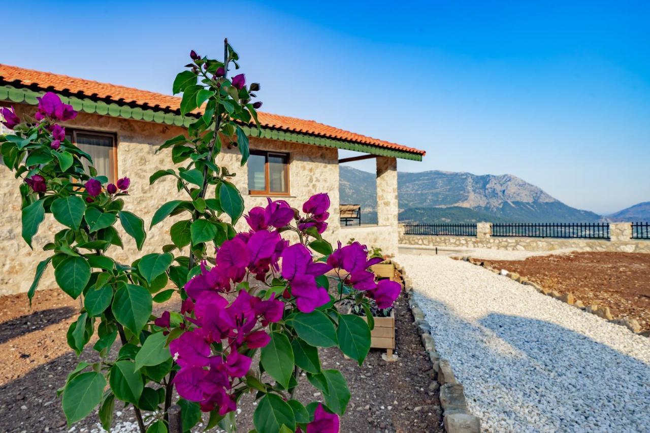 Villa Teras Adrasan Eksteriør bilde