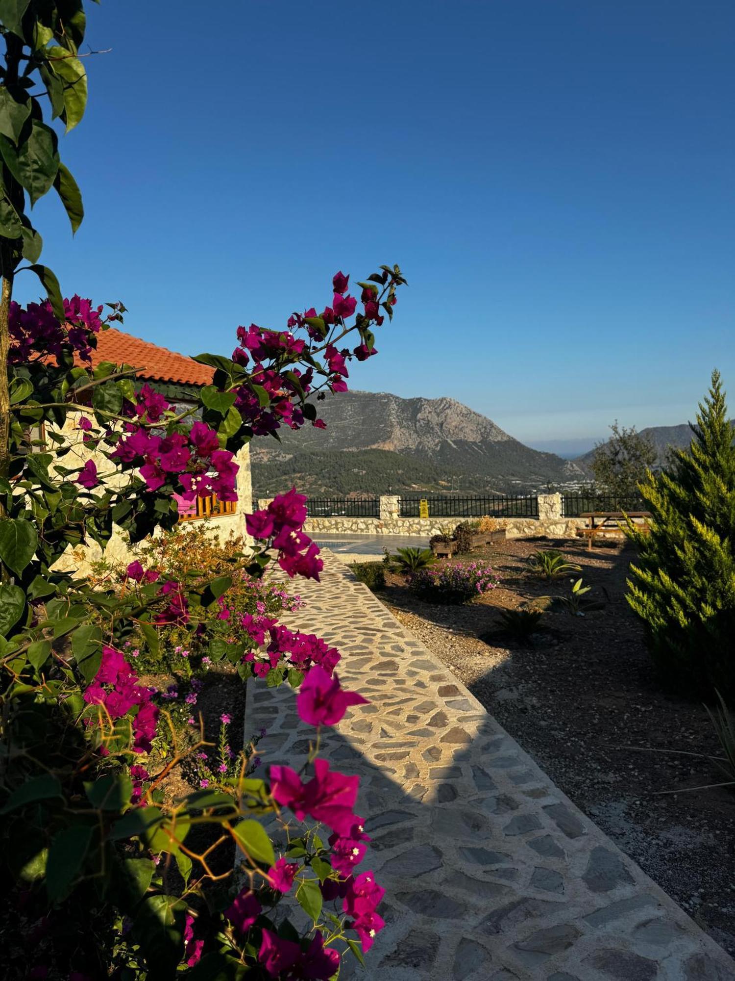 Villa Teras Adrasan Eksteriør bilde
