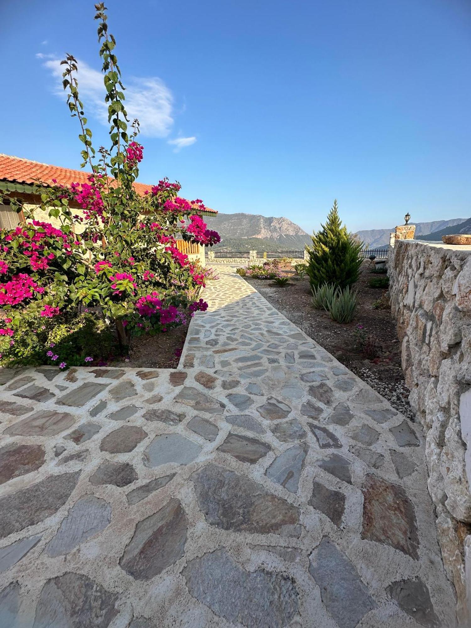 Villa Teras Adrasan Eksteriør bilde
